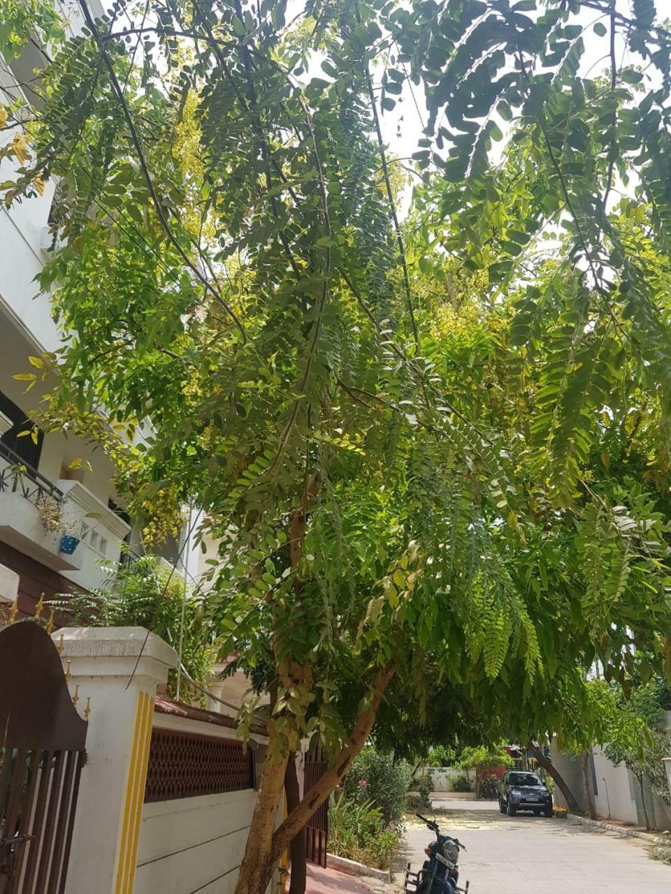 Royal Palace Guest House Chennai Exterior foto